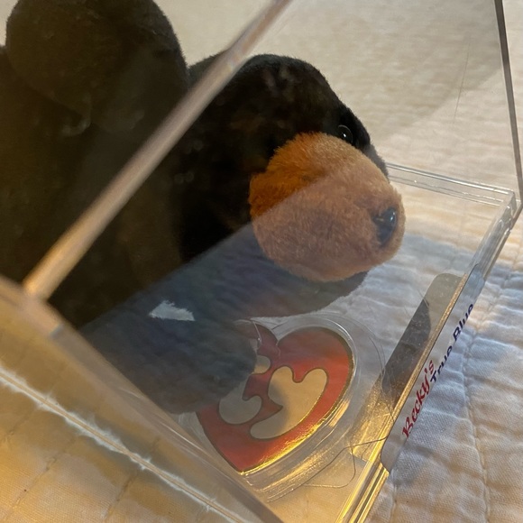 Authenticated Ty Beanie Baby Blackie The Bear 1st Gen Tush Tag - Picture 5 of 9